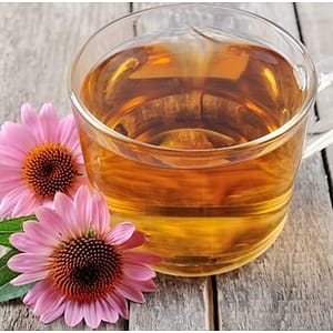 Echinacea Tea